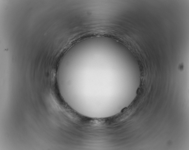 X0000089660660200706210731