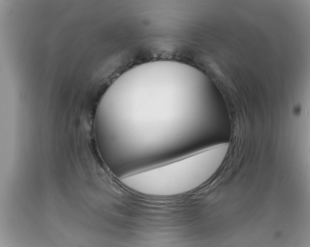 X0000089660661200706210731