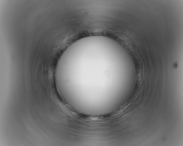 X0000089660662200706210731