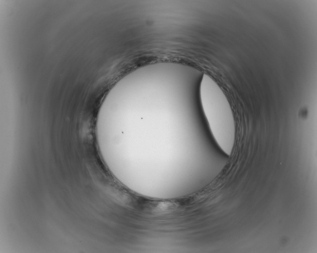 X0000089660663200706210731