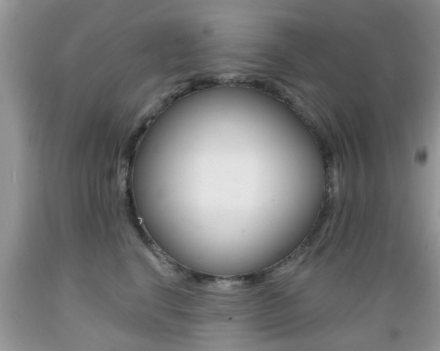 X0000089660664200706210731