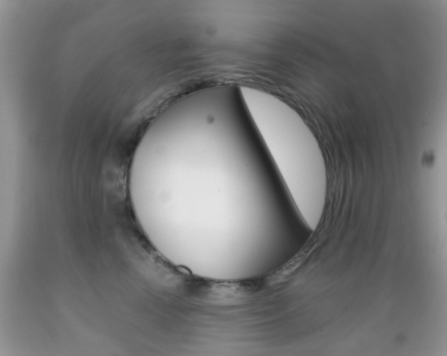 X0000089660666200706210732