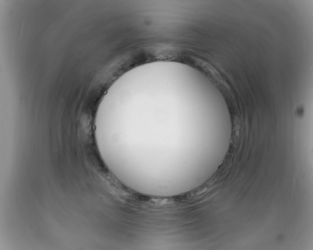 X0000089660667200706210732