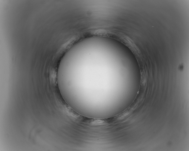 X0000089660669200706210732