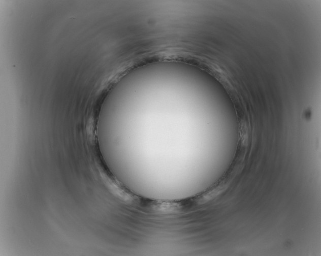X0000089660670200706210732