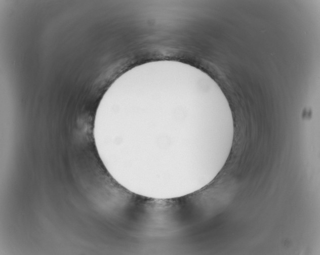 X0000089660672200706210732