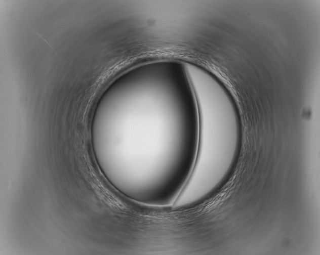 X0000089660673200706210731