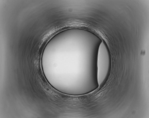 X0000089660675200706210731