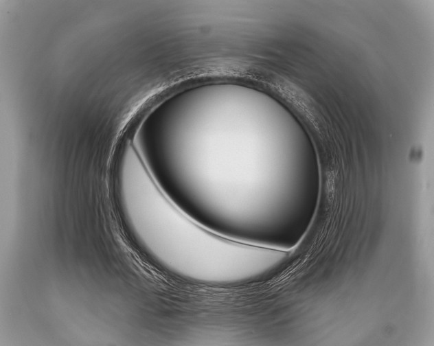 X0000089660676200706210731