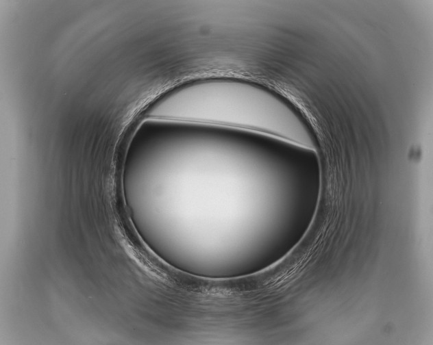 X0000089660677200706210731