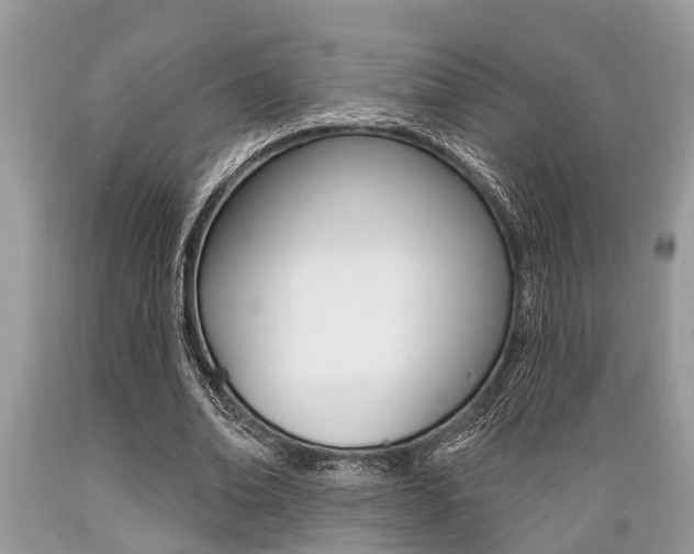 X0000089660678200706210731