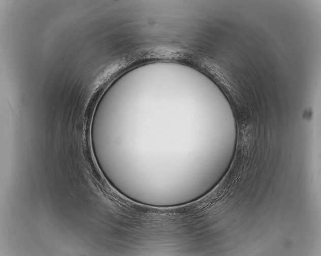 X0000089660679200706210731