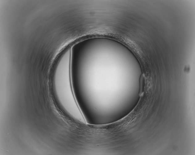 X0000089660680200706210731