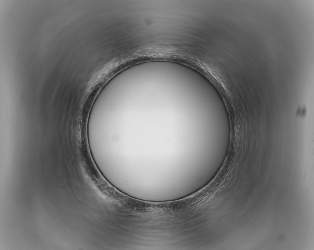 X0000089660682200706210731