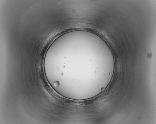 X0000089660683200706210731