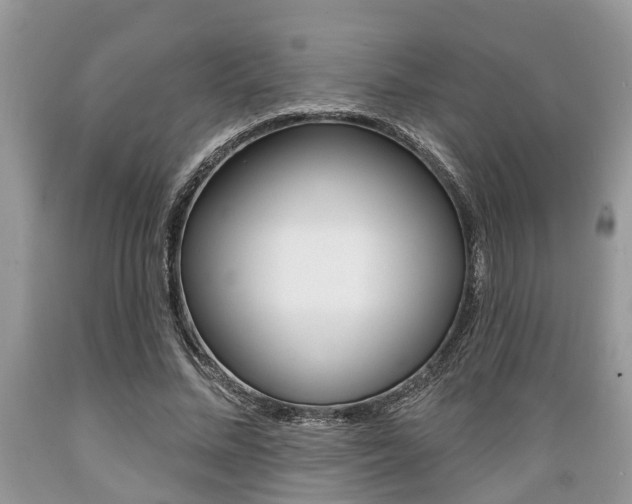 X0000089660684200706210731
