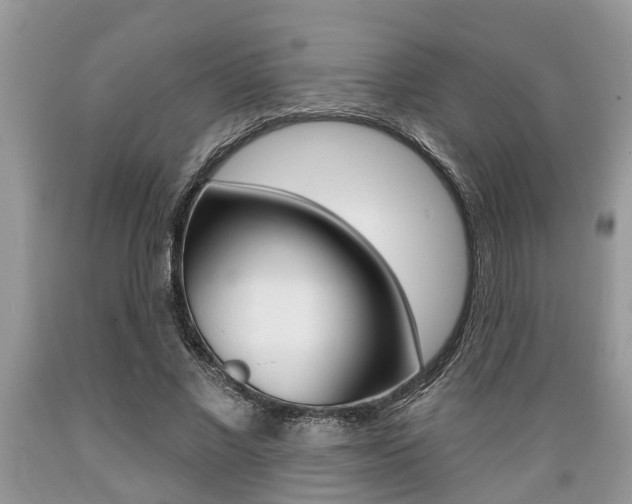 X0000089660685200706210731