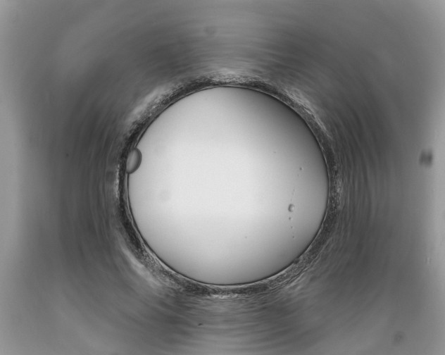 X0000089660686200706210731