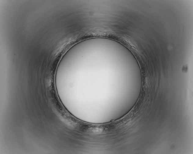 X0000089660687200706210731