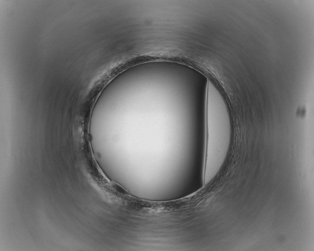X0000089660688200706210731