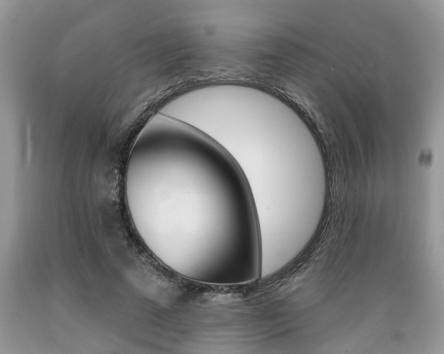 X0000089660689200706210731