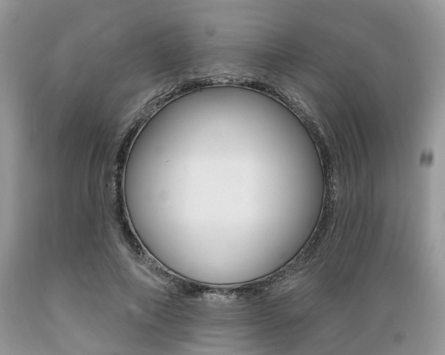 X0000089660690200706210731