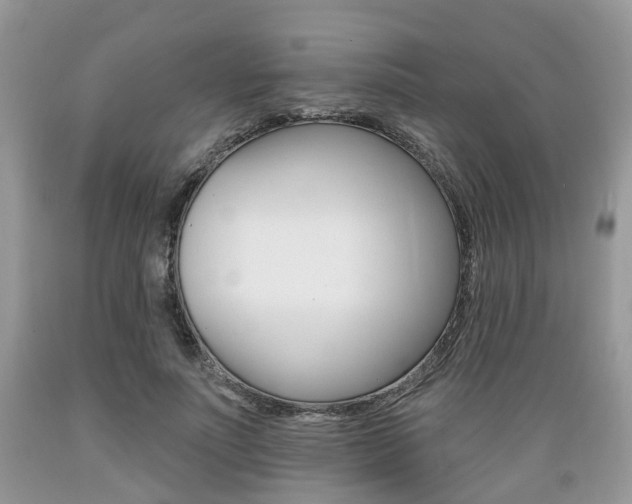 X0000089660691200706210731