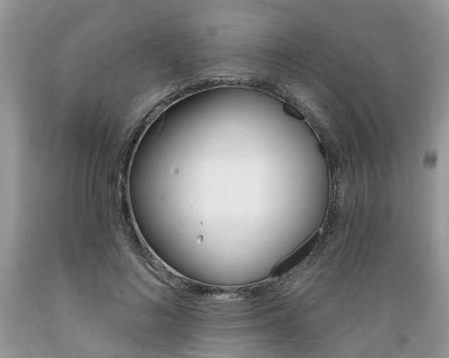 X0000089660692200706210731