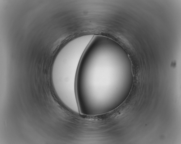 X0000089660693200706210731