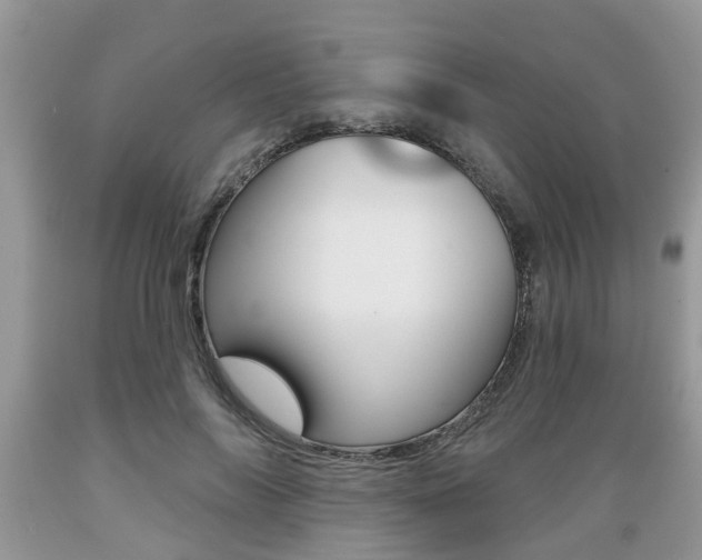 X0000089660694200706210731