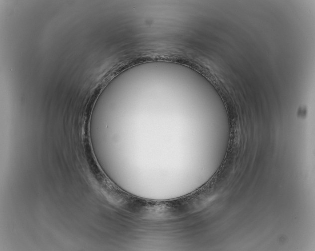 X0000089660695200706210731