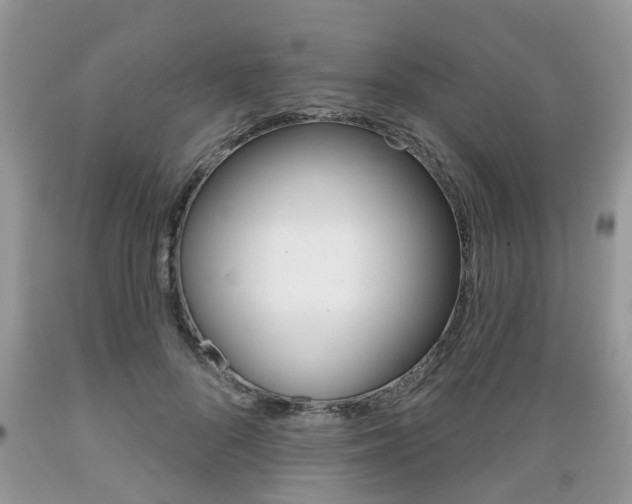 X0000089660696200706210731