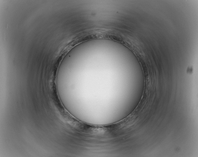 X0000089660698200706210731