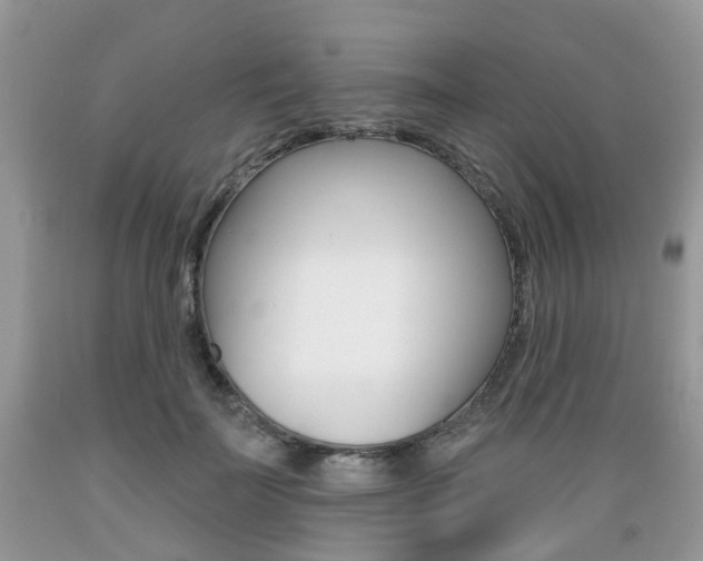 X0000089660699200706210731