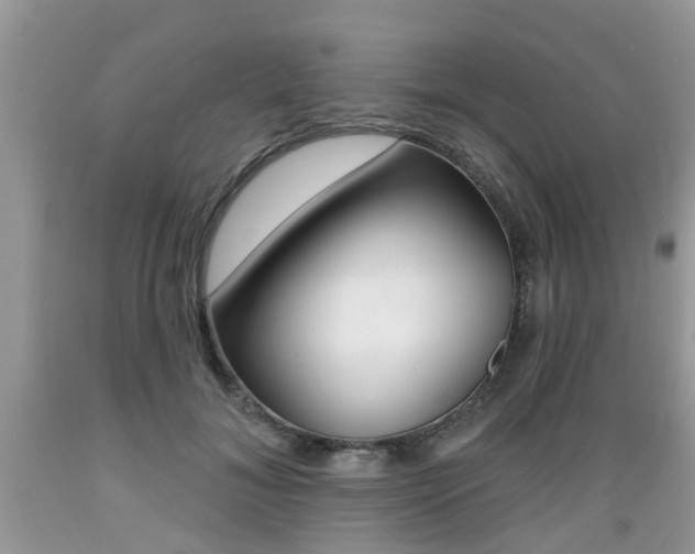 X0000089660700200706210731