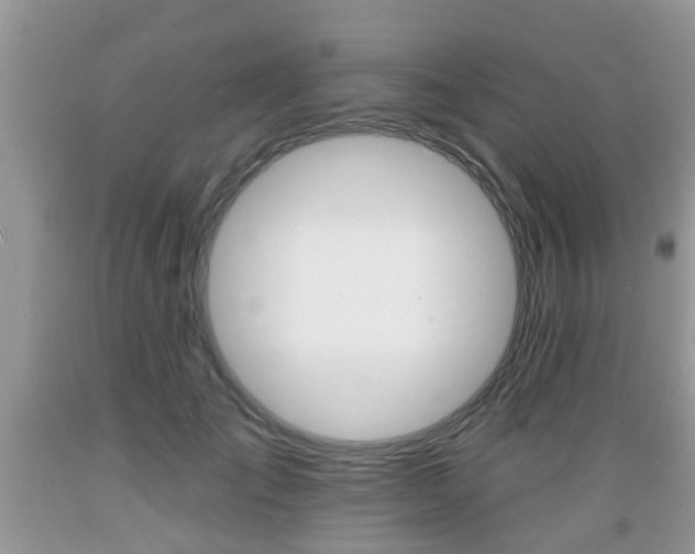 X0000089660701200706210731