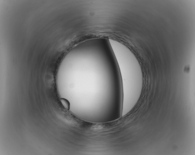 X0000089660704200706210731
