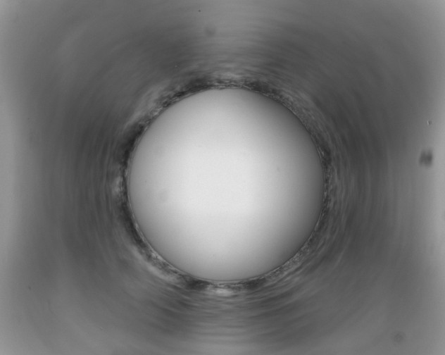 X0000089660706200706210730