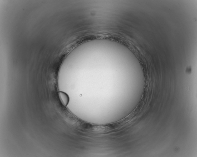 X0000089660707200706210730