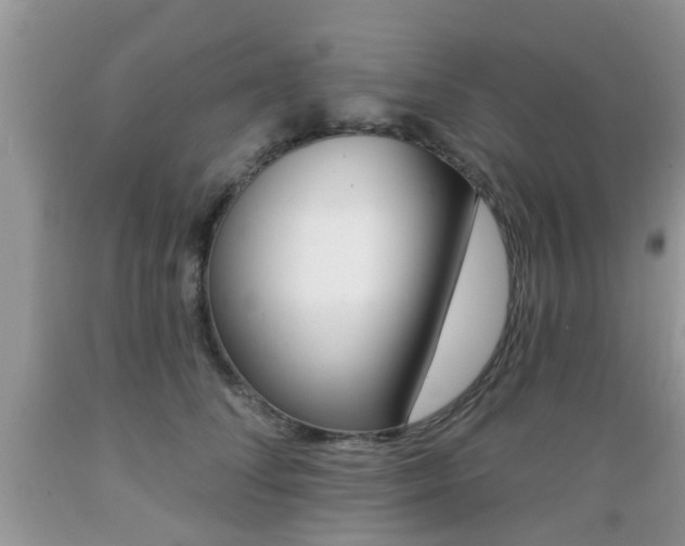 X0000089660708200706210730