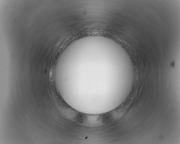 X0000089660709200706210730