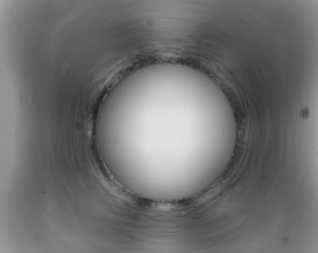 X0000089660710200706210730