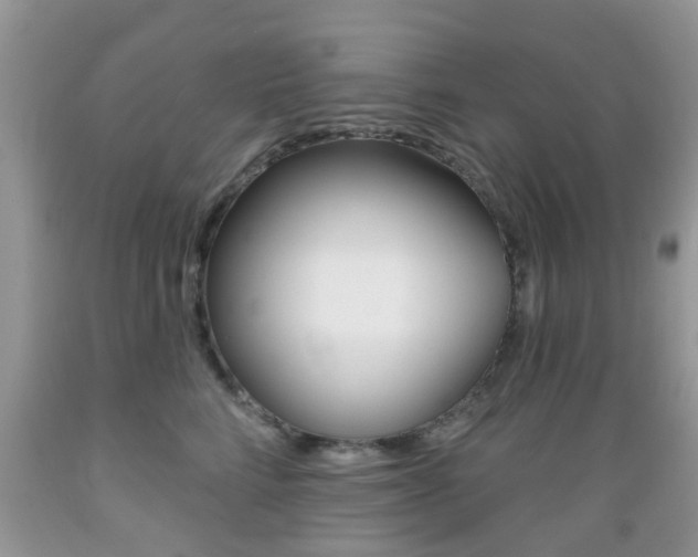 X0000089660712200706210730