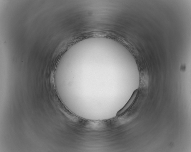 X0000089660713200706210730