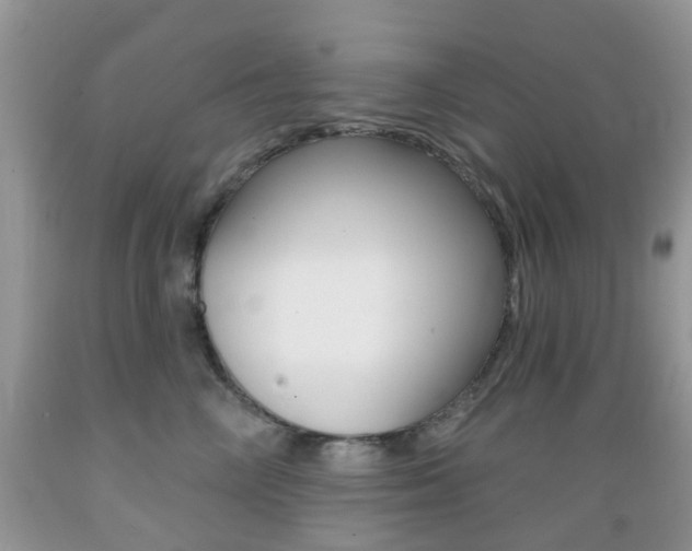 X0000089660714200706210730