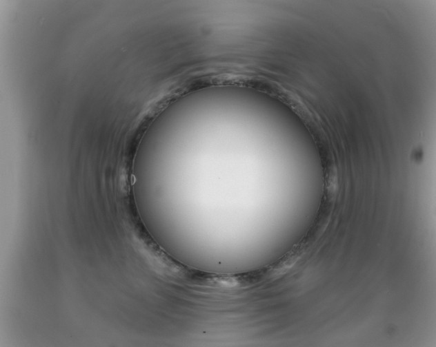 X0000089660715200706210730
