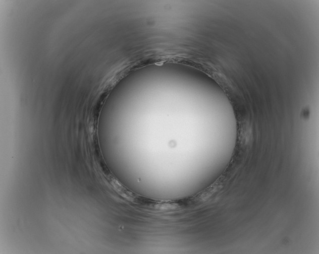 X0000089660716200706210730