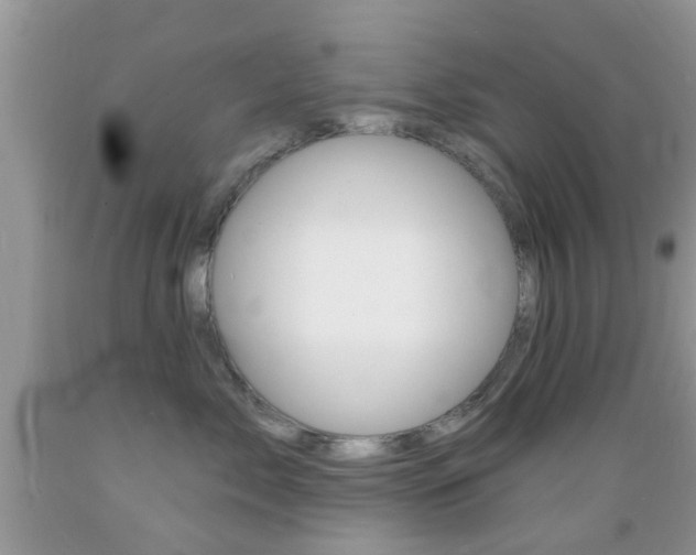 X0000089660717200706210730