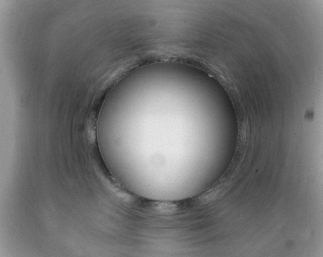 X0000089660719200706210730
