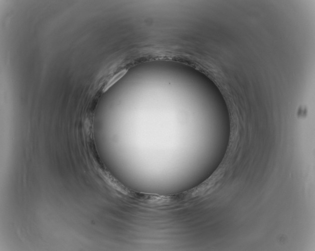 X0000089660720200706210730